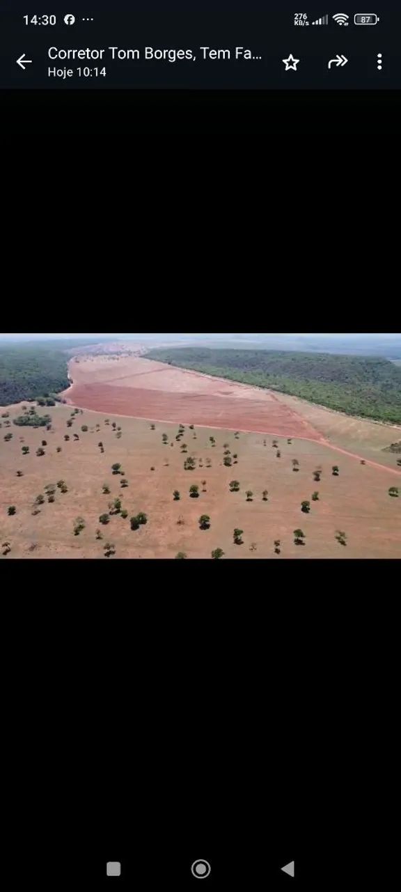 Fazenda arrendamento 3.000 hec em pasto, libera acima de 500hec 1° as no outro mais 