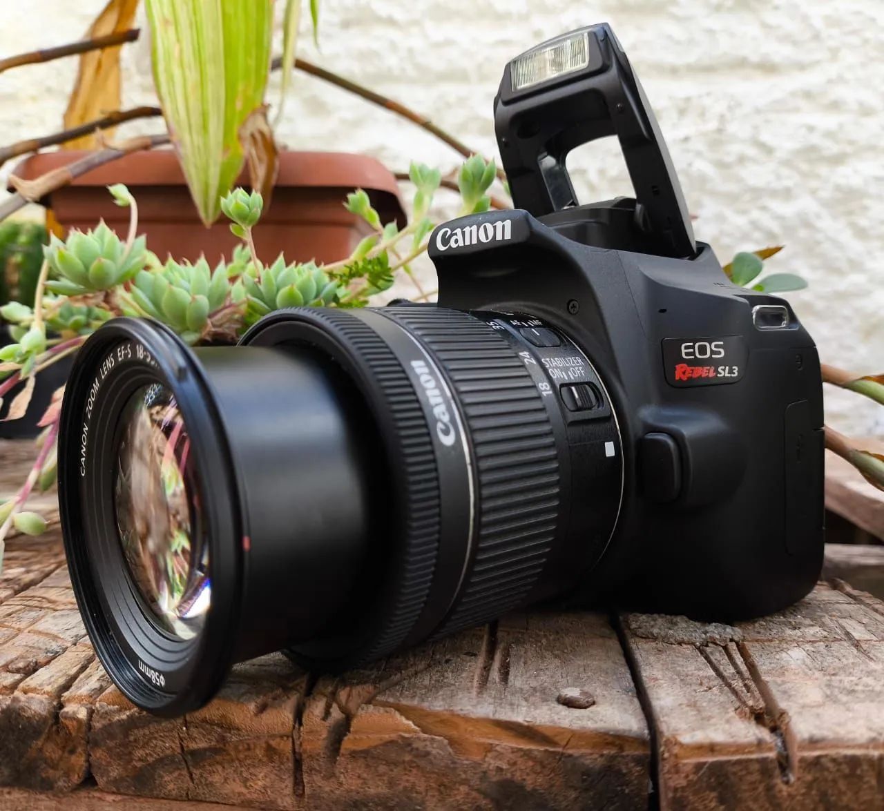 Canon SL3 - Câmera DSLR - Foto 3