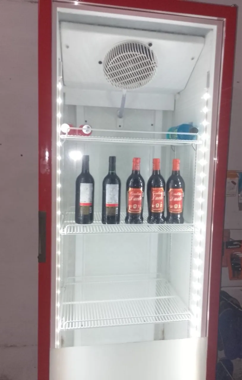 Freezer vertical 