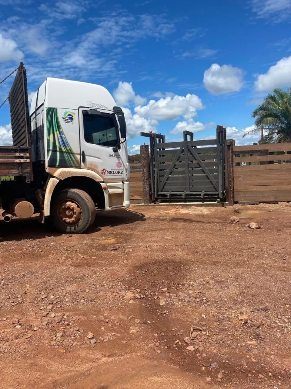 TRONCO DE CONTENÇÃO BOVINO COM BALANÇA ELETRÔNICA (GADO) - Foto 2
