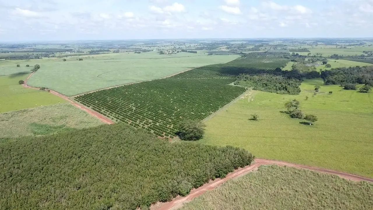 SITIO COM 05 ALQ. - 4.800 ÁRVORES DE SERINGUEIRAS PRODUZINDO - 5 KM DA CIDADE - ESTRELA DO - Foto 3