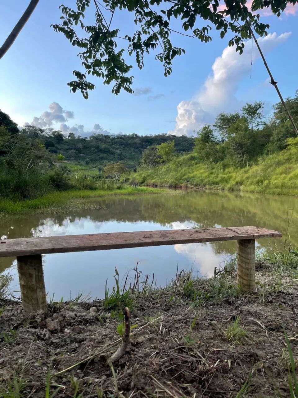 Foto - Belo Horizonte - Bandeirantes (Pampulha)