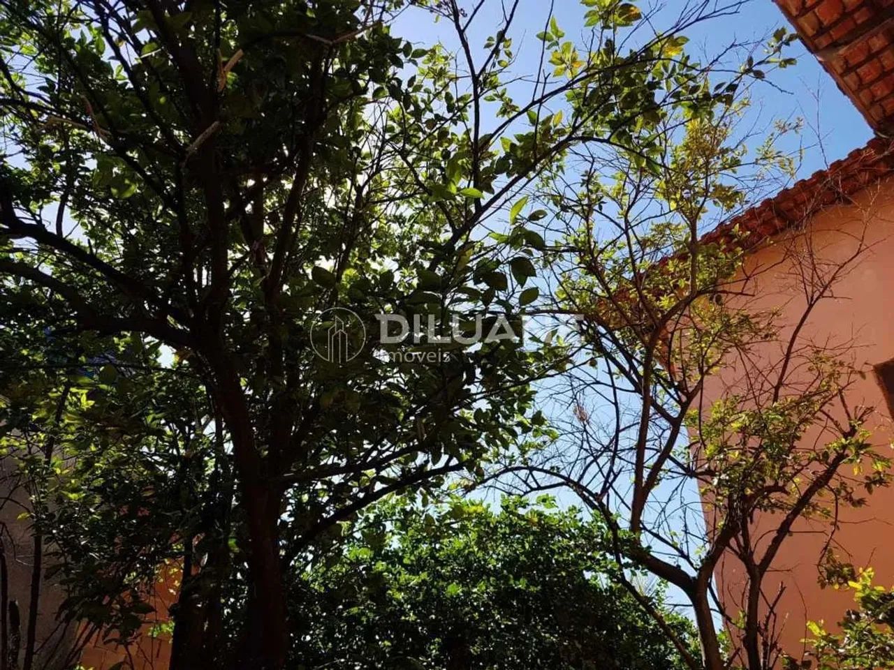 Casa de rua - Duplex / Residencial / Centro - Foto 4
