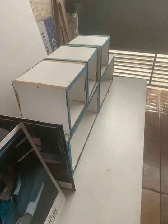 Nicho  - Foto 2