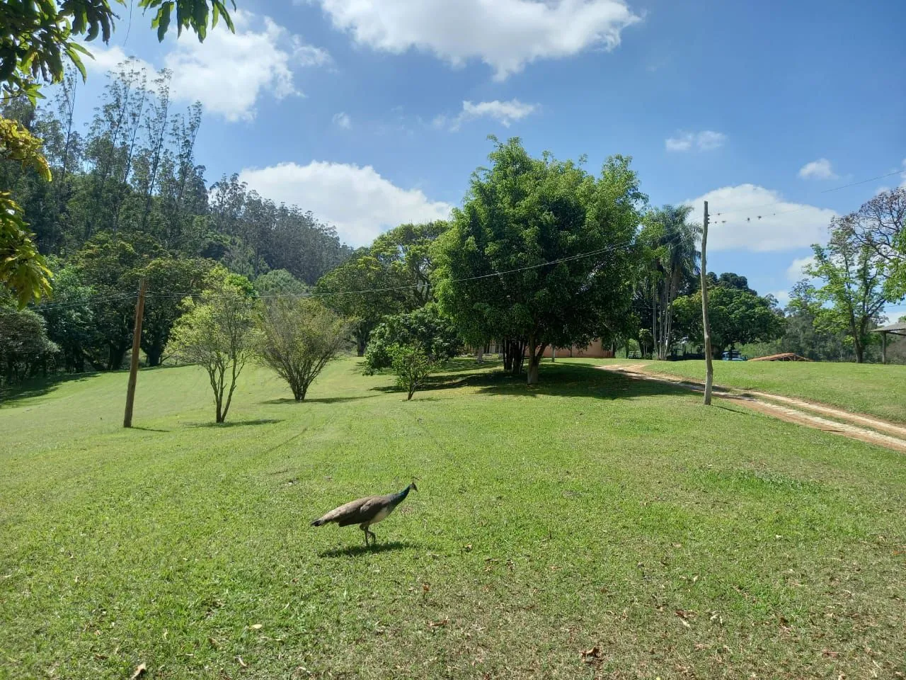 Poucos lotes disponíveis no início de um bairro com grande potencial