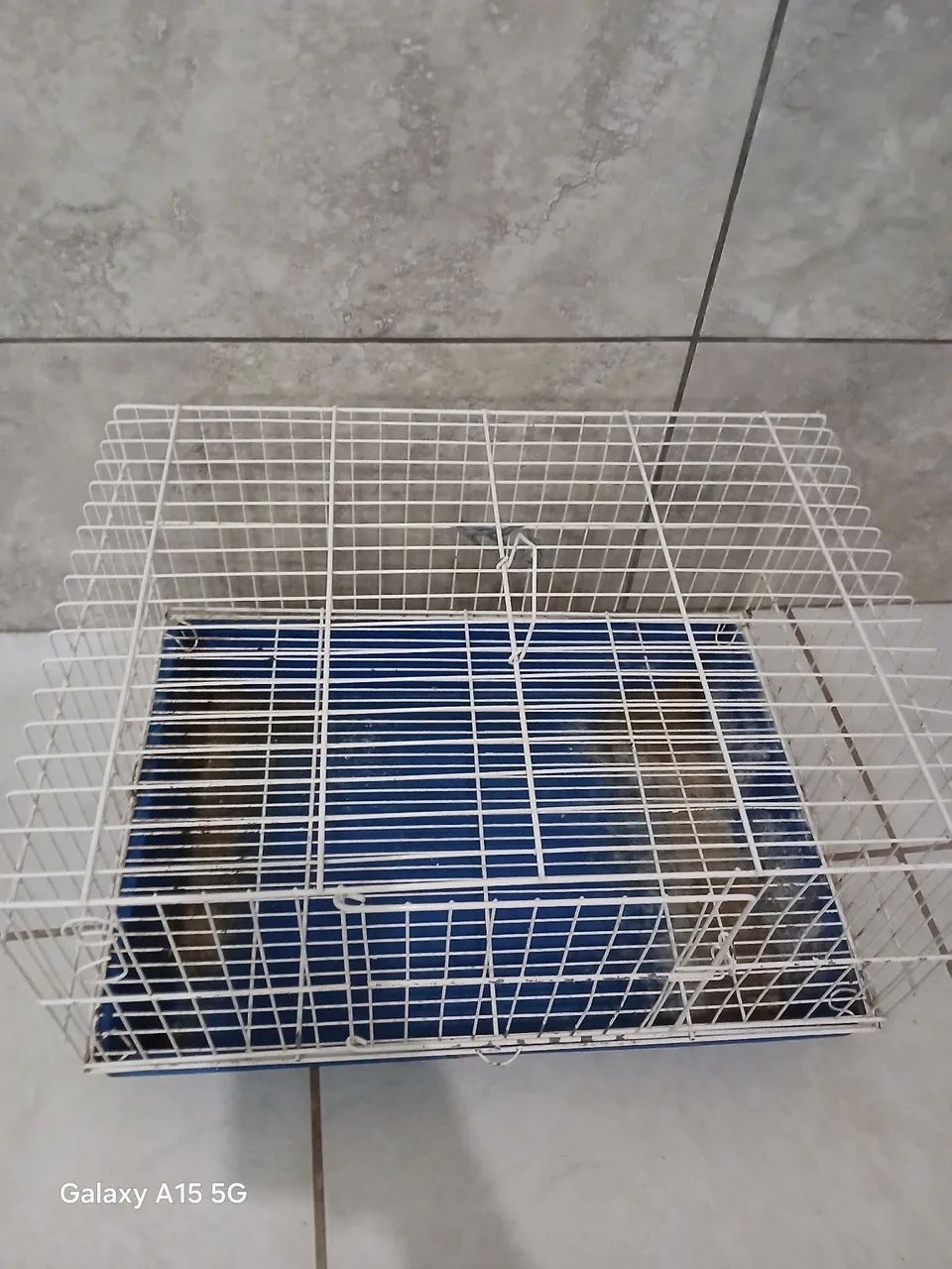 GAIOLA DE COELHO E ROEDORES MAIORES - Foto 4