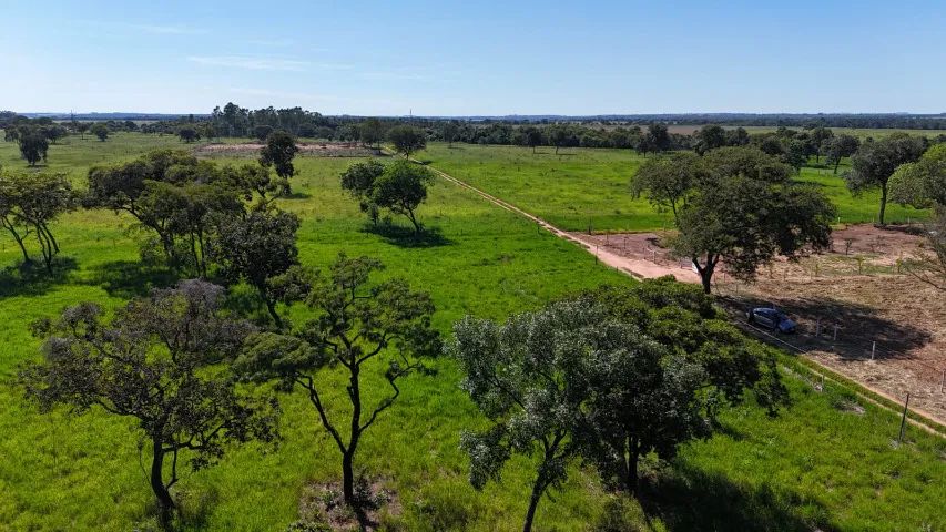 Área  de 20.000 m²  bem localizada e arborizada - Foto 3