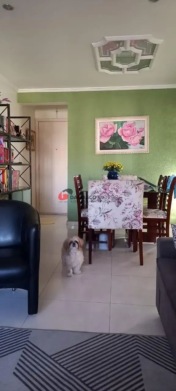 Apartamento em Santa Maria - Foto 4