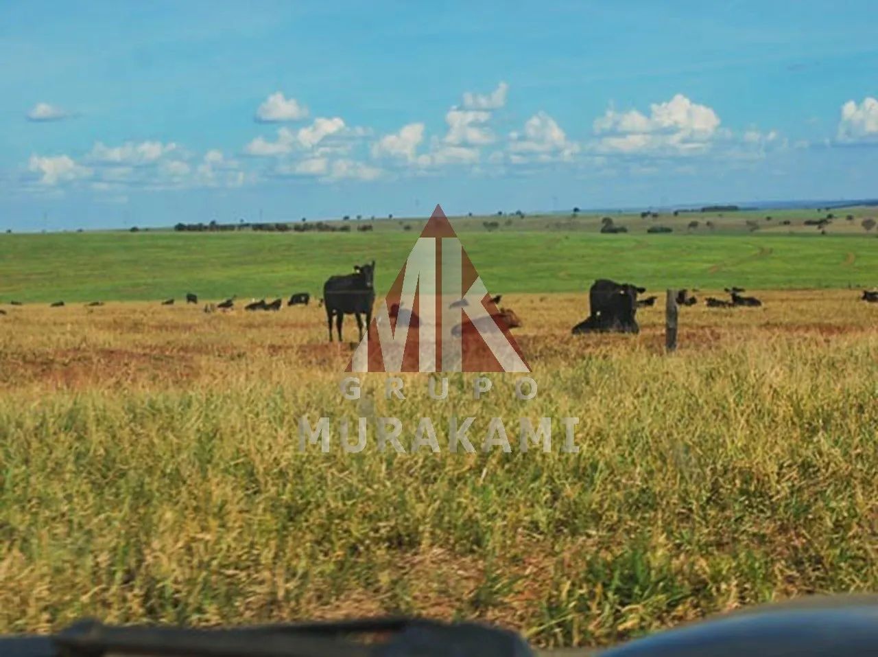 FAZENDA - CAMAPUÃ - MS - Foto 4