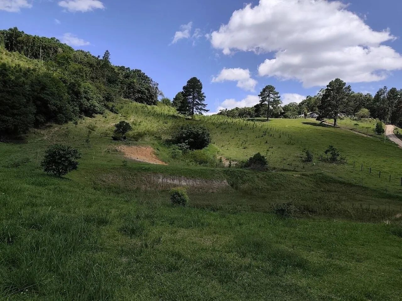 Sítio à venda em São Bonifácio/SC - Foto 4