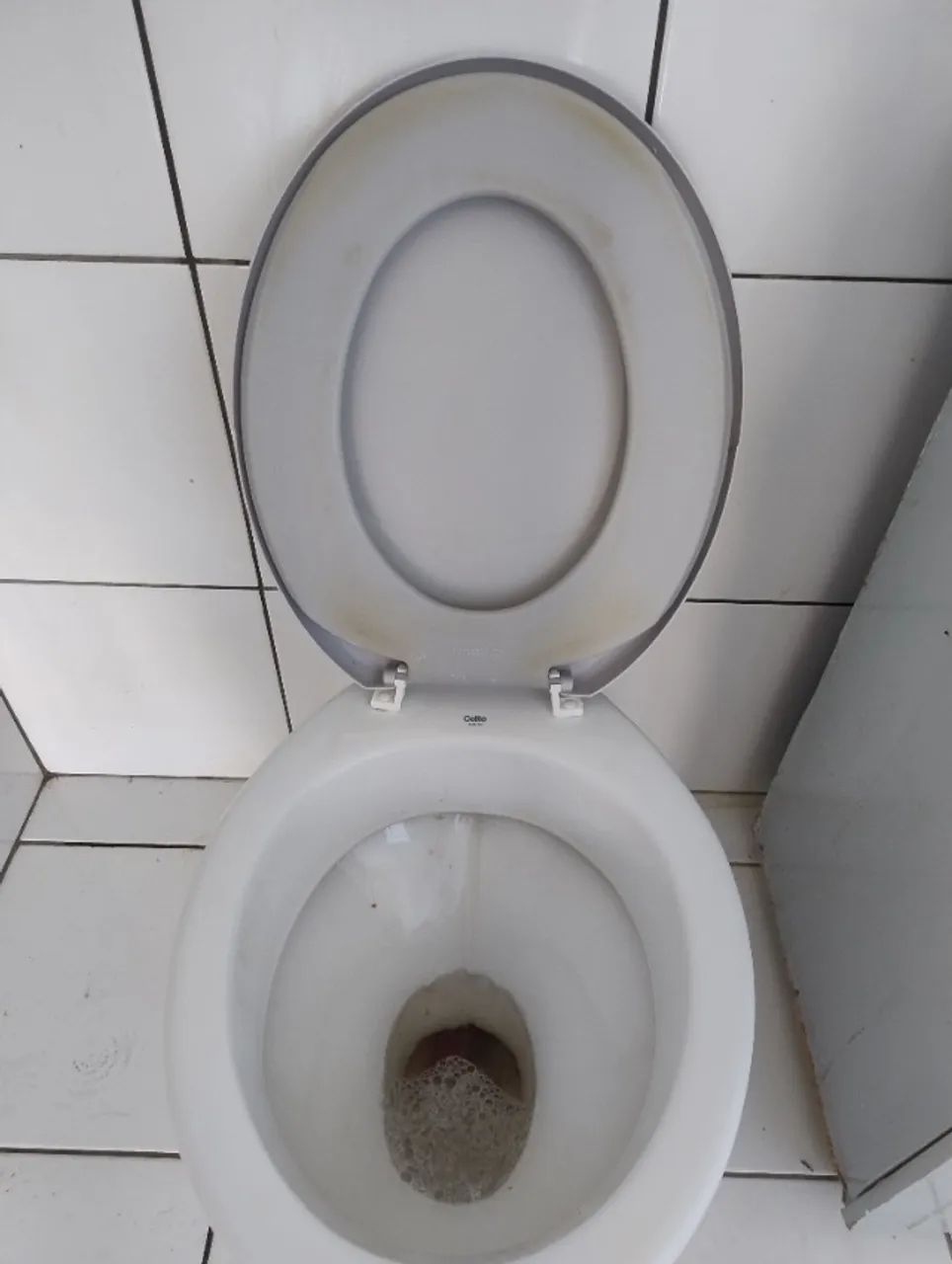 Vaso sanitário 