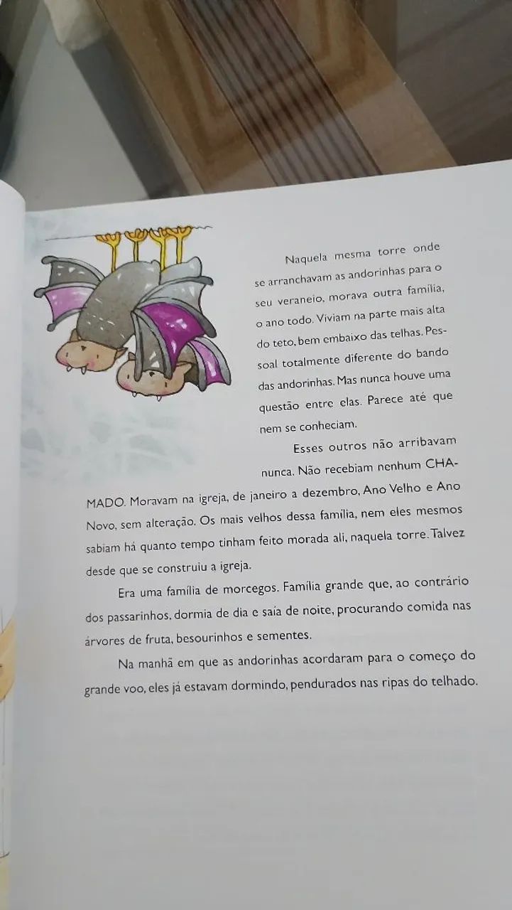 Livro Andira de Raquel de Queiroz  - Foto 5