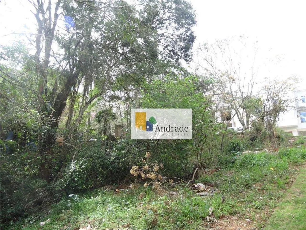 Terreno à venda, 1000 m² por R$ 700.000 - Granja Viana -Parque das Artes - Embu das Artes/ - Foto 4