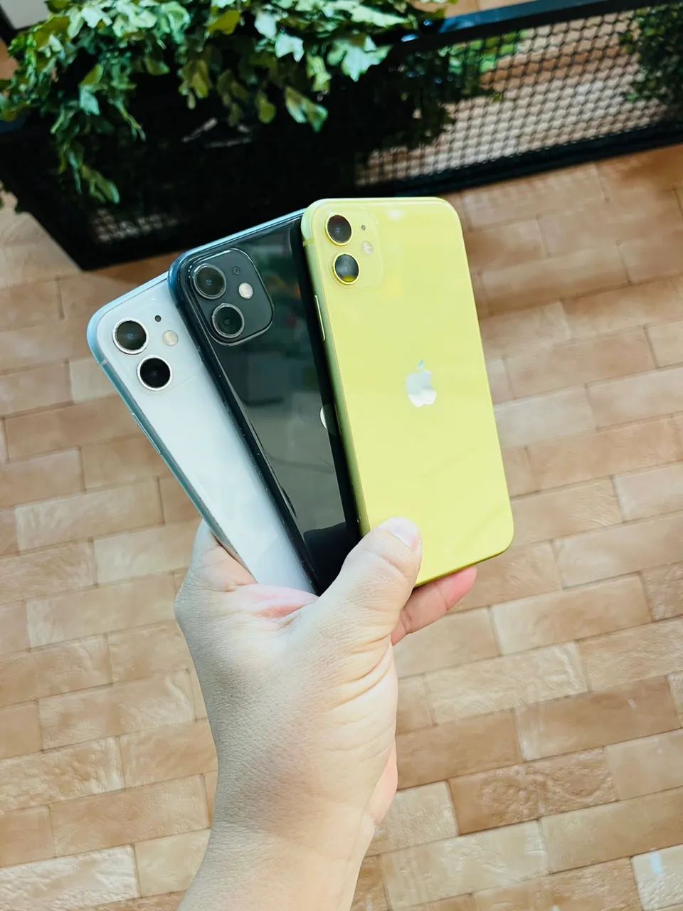 iPhone 11 com oferta na número 1 da região / entrego hoje 