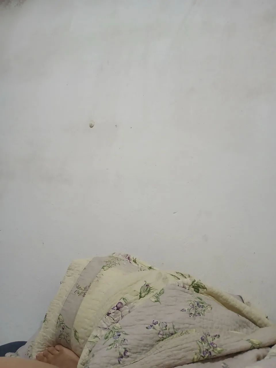 Foto - Hortolândia - Jardim Nossa Senhora Auxiliadora