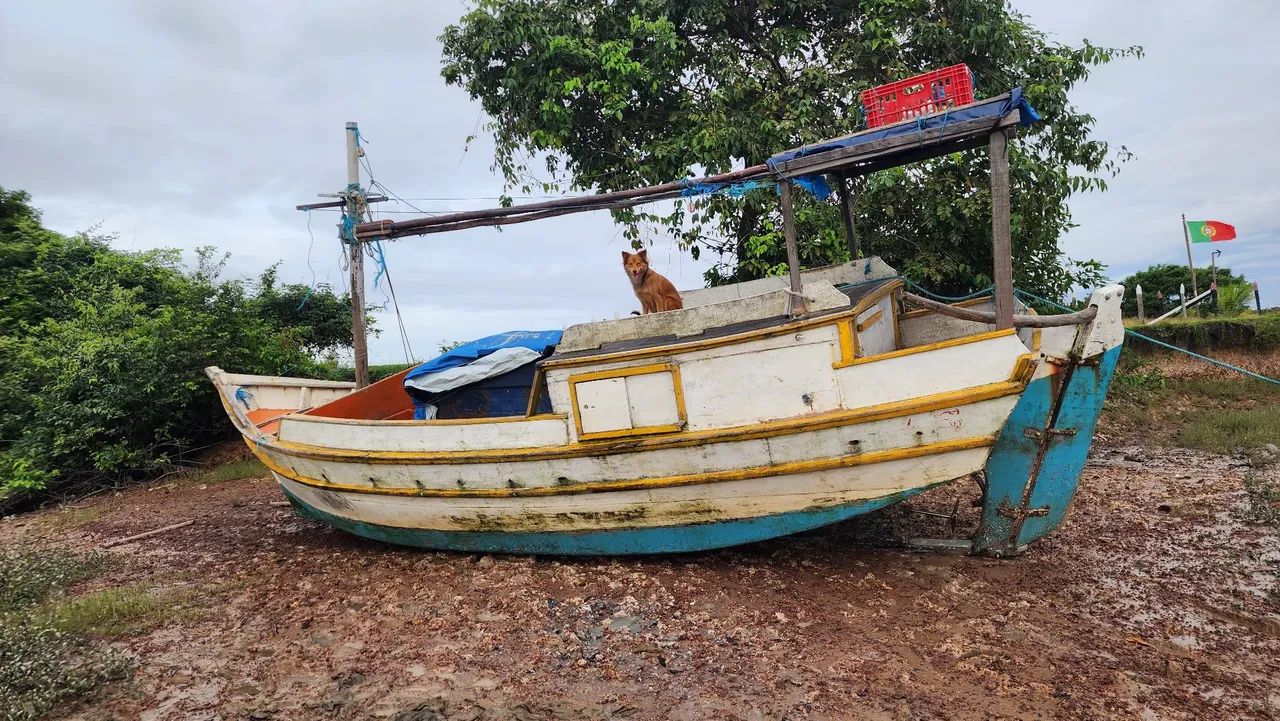 Vendo barco de pesca com motor ns18 - Foto 2