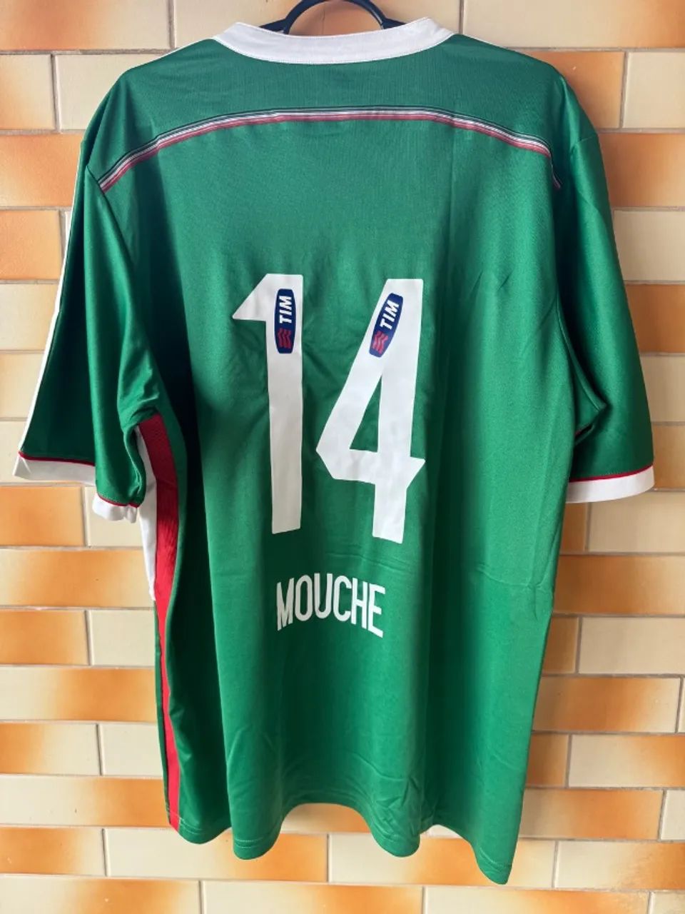 palmeiras 2014 - Foto 5