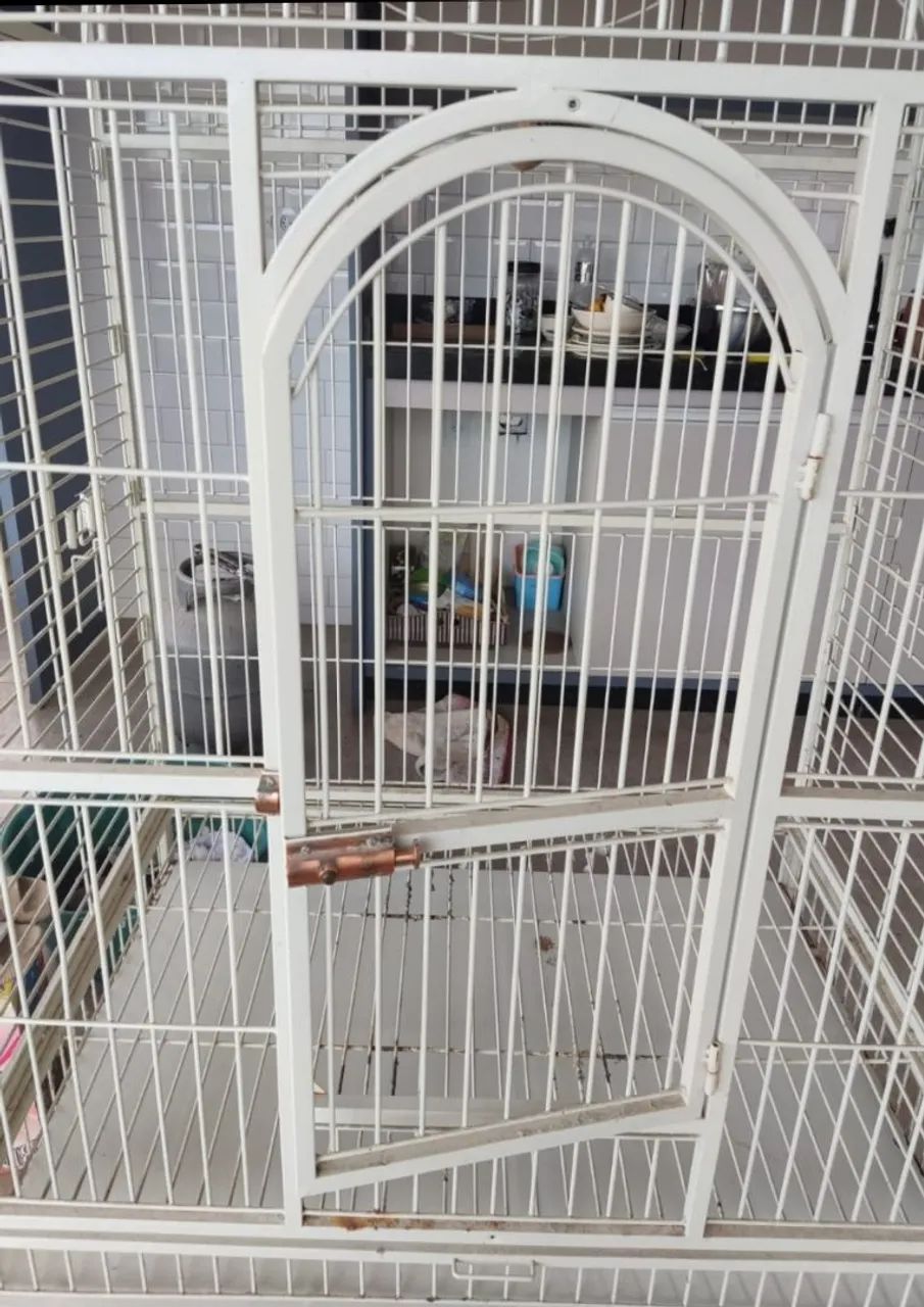 Large Aviary473663770785884162
