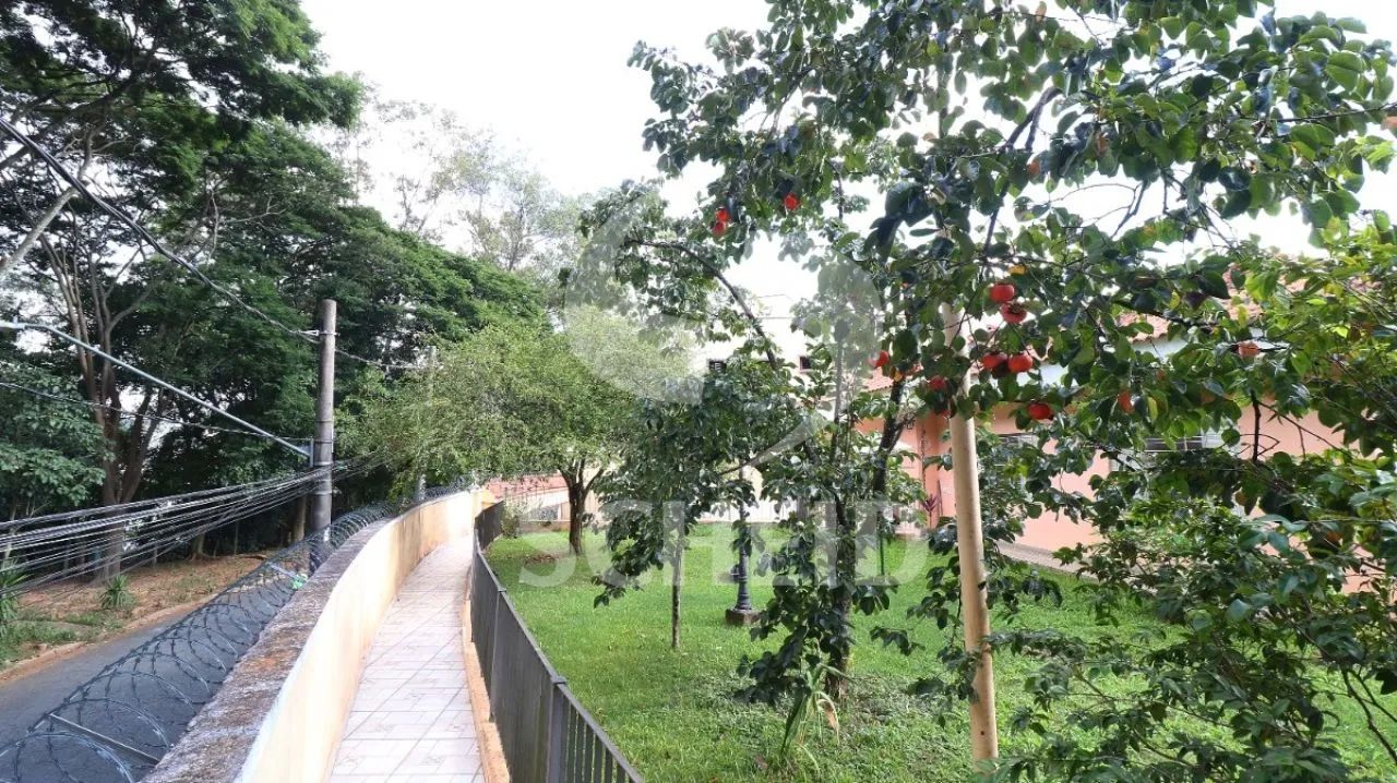 Casa de Vila na Vila Sônia com 179m² e 4 dormitórios - Foto 4