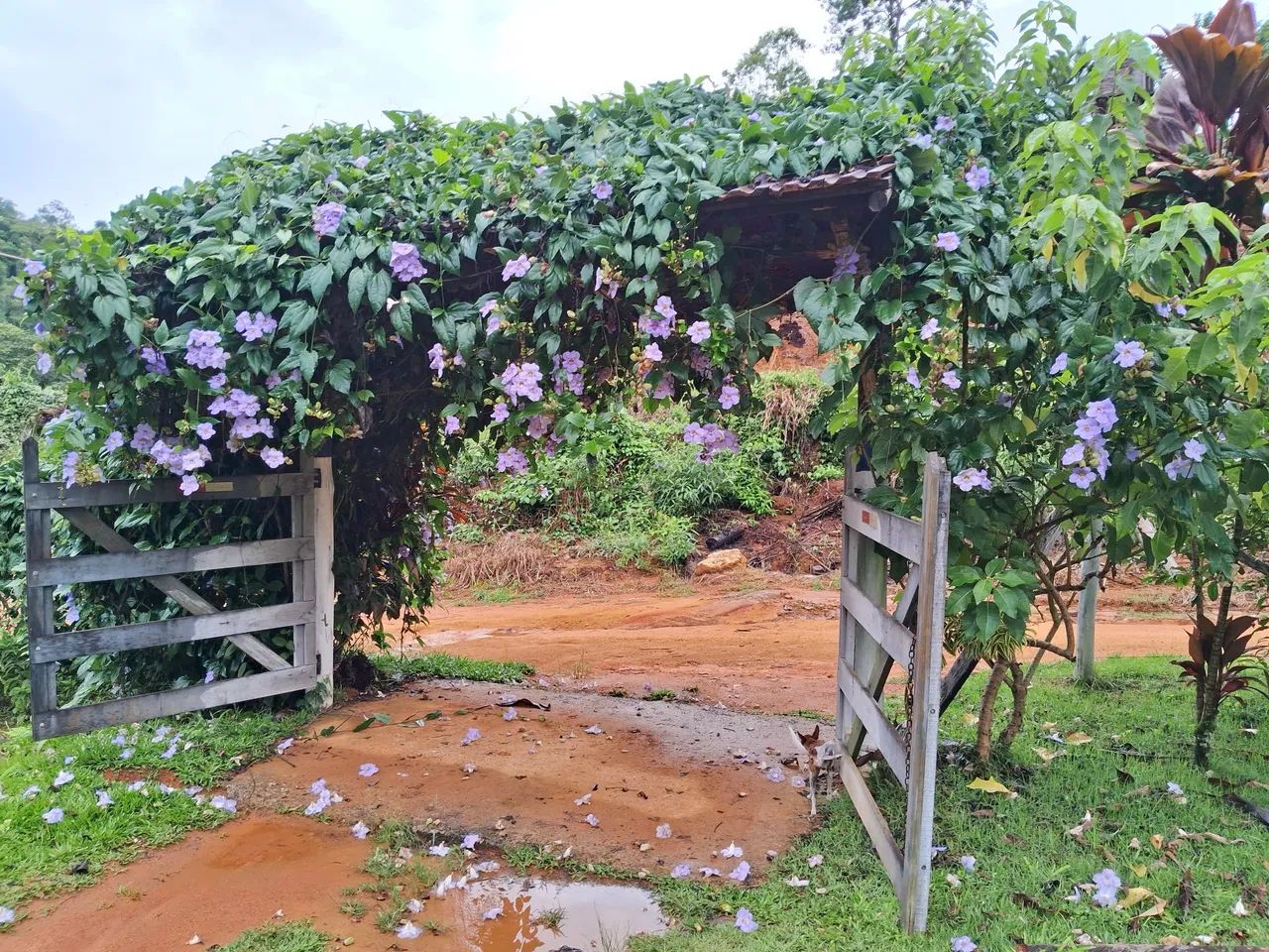 Aluguel com lazer.santa teresa. - Foto 3