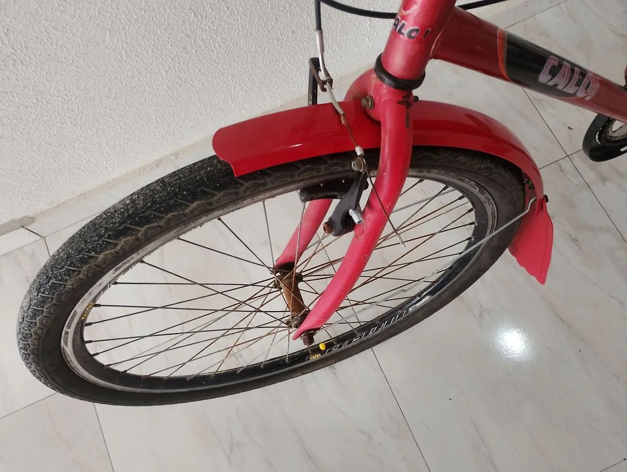 Torro so hoje 399.00 - Foto 2