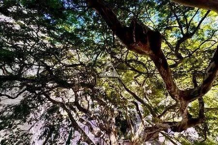 Apartamento de 3 quartos com vaga em Botafogo - Foto 5