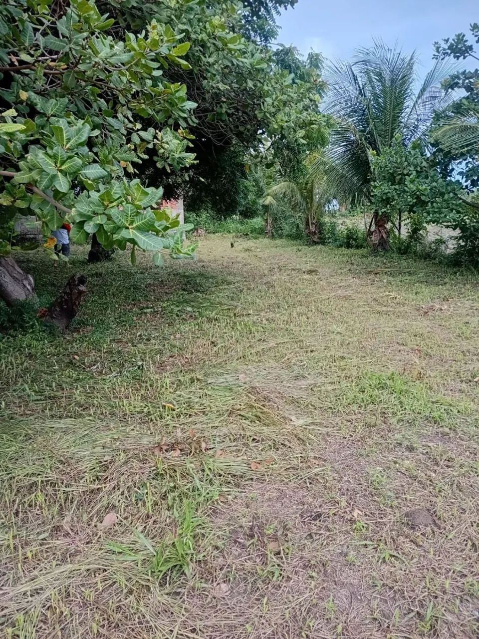 Vendo terreno para sítio no iguaiba  - Foto 3