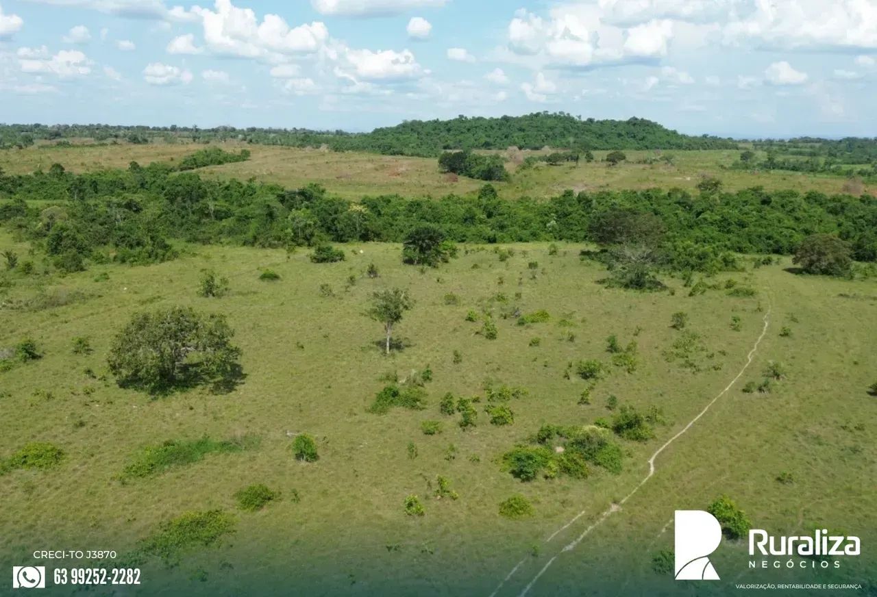 248 ALQUEIRES | 600 HA PRONTOS PARA AGRICULTURA | SAFRA E SAFRINHA - Foto 3