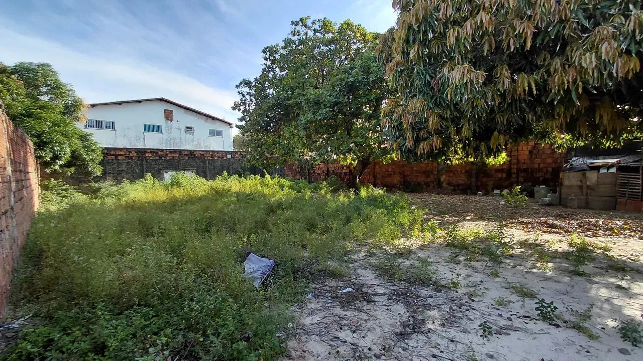 Terrado no Álvaro Weyne - Foto 5