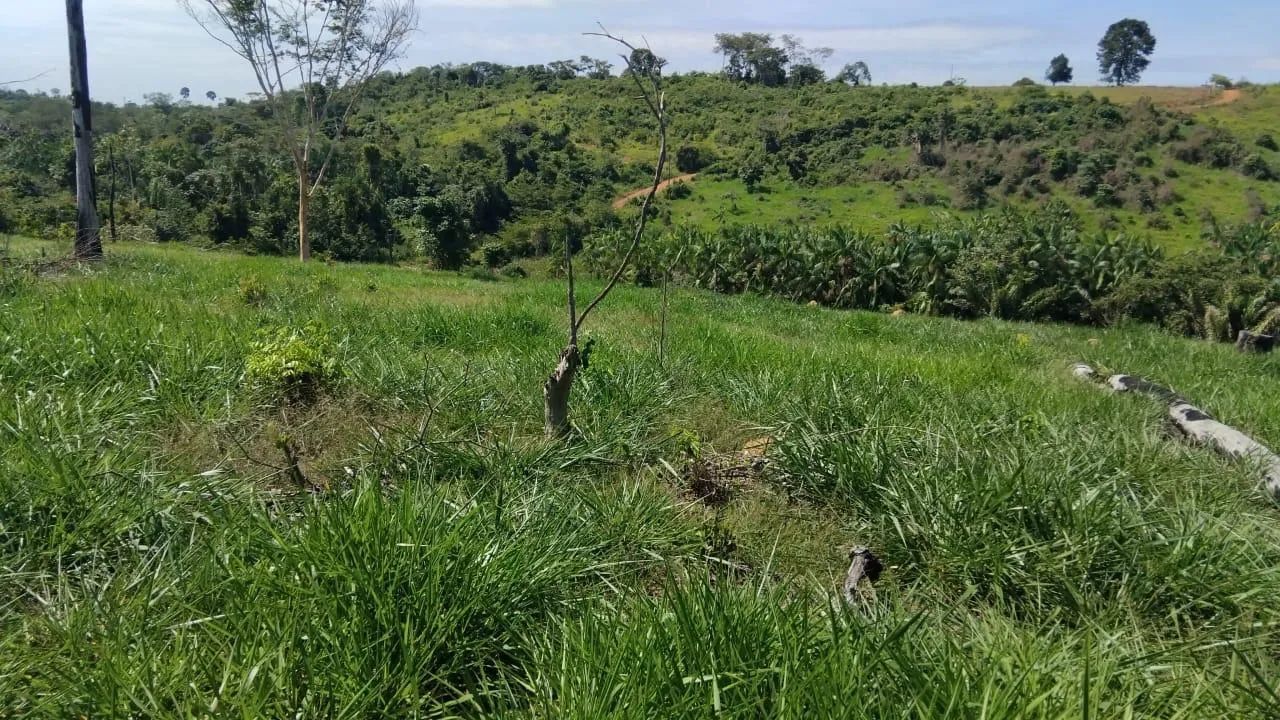 Terra de 7 alqueire - vila Brasil