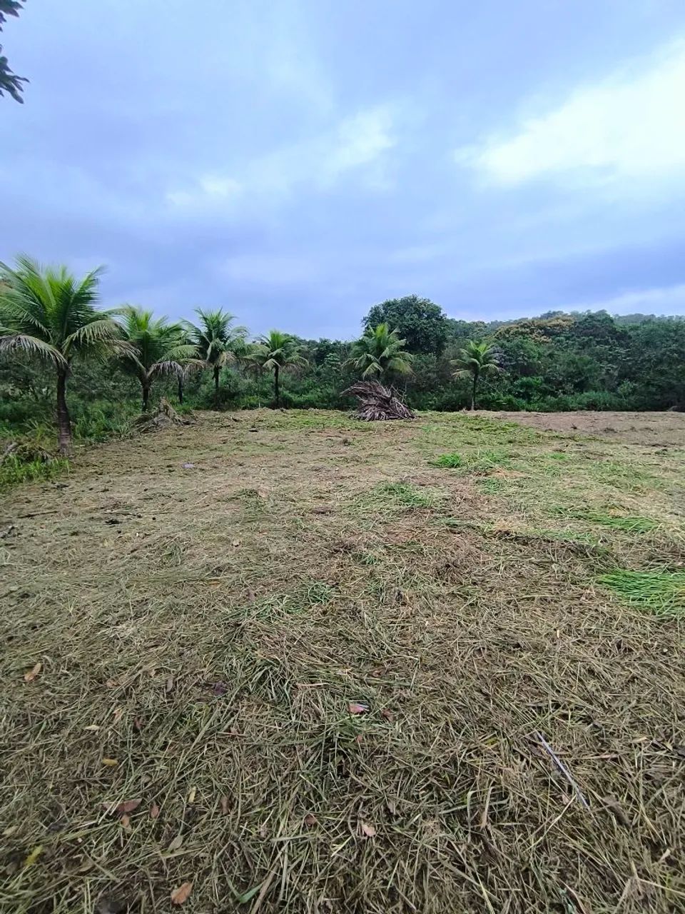 TERRENOS 10X30 TINGUÁ  - Foto 4