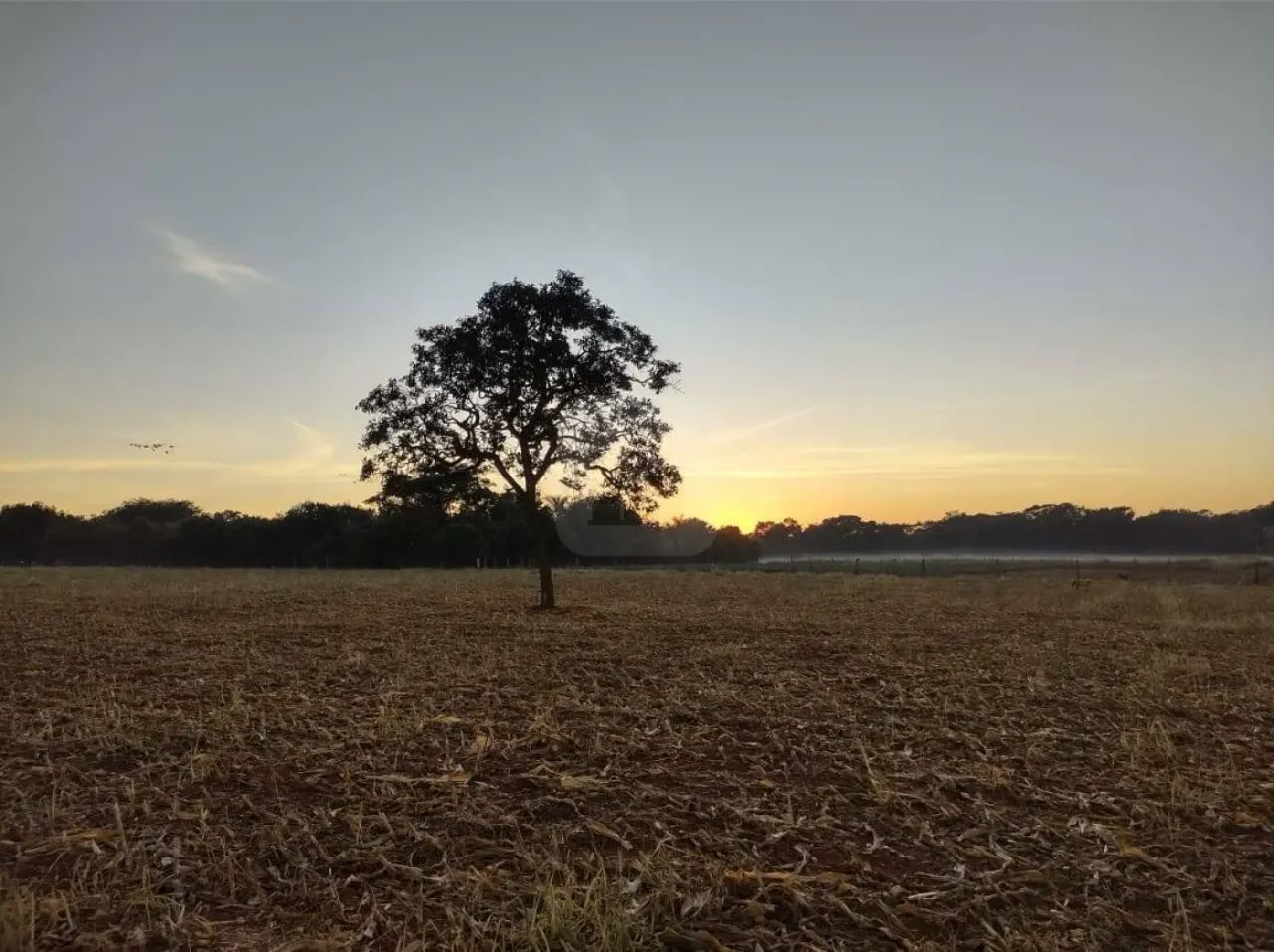 Área para locação na Zona Rural - Foto 5