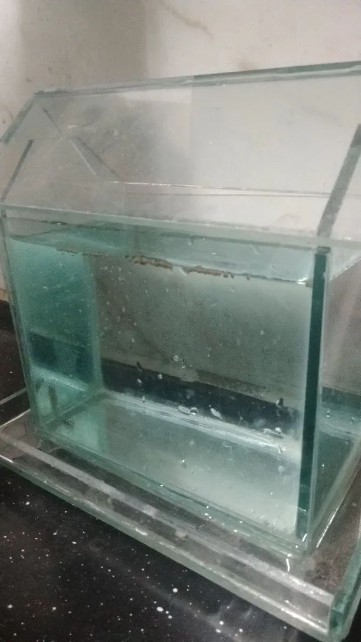 Aquário com 1 peixe ? - Foto 5