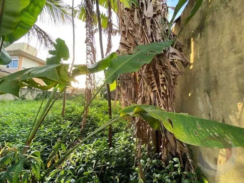 Terreno para Venda em Florianópolis, Santa Mônica