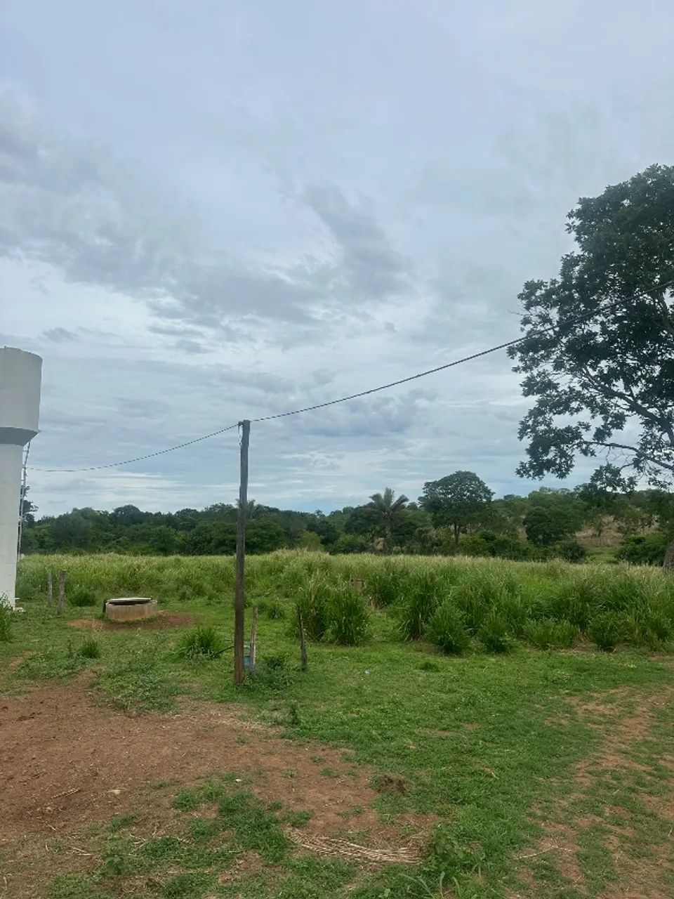Fazenda na região sul do Tocantins 254 alqueires