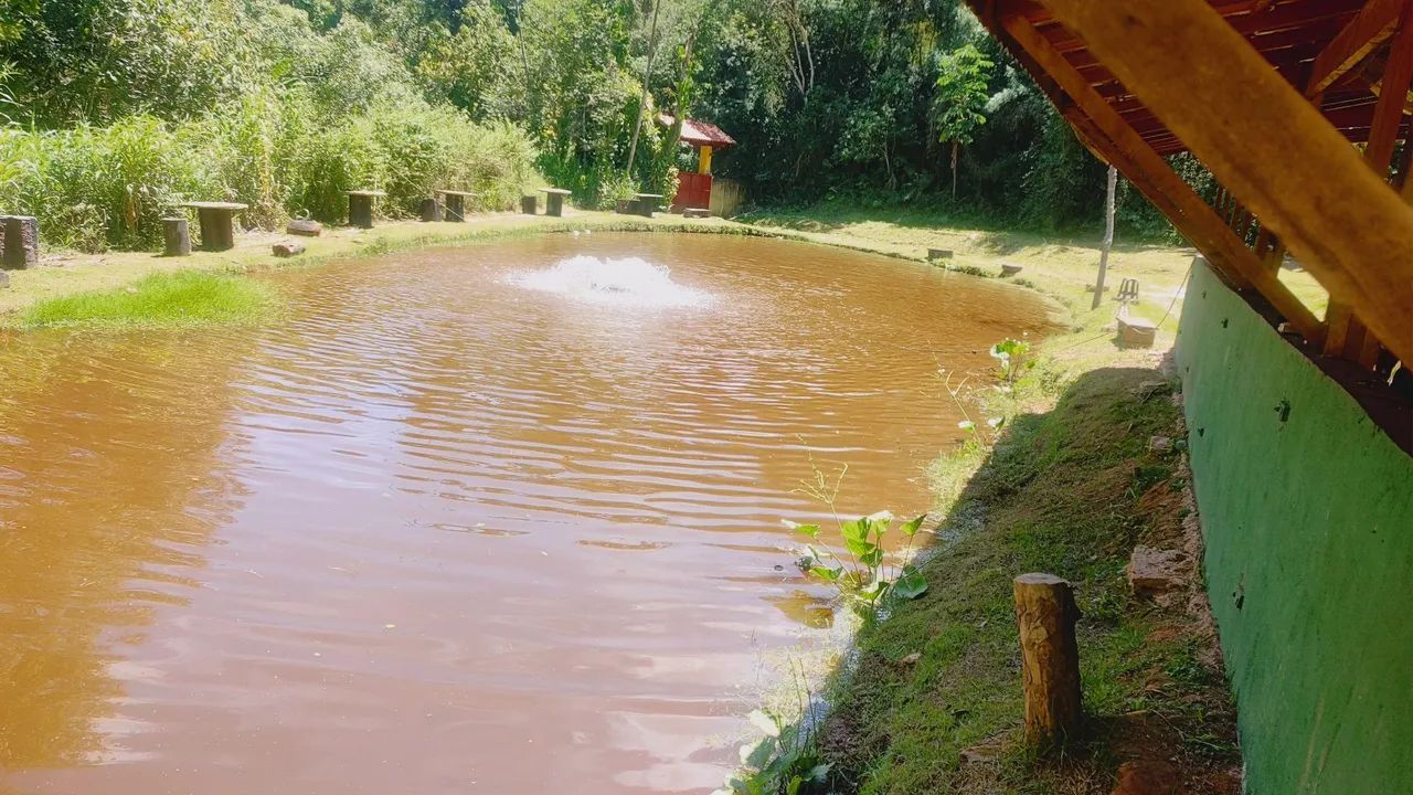 Aluga-se área residencial e comercial  - Foto 3