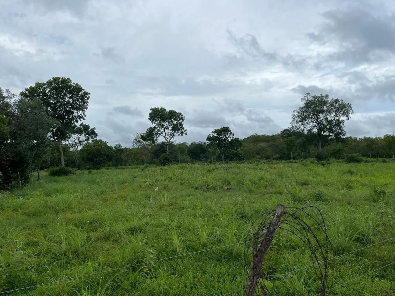 Imóvel rural no Paranã em Paranã - Foto 5