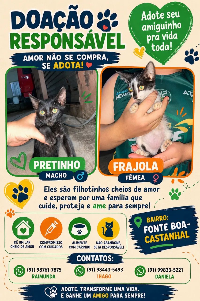 Doação Responsável  - Foto 2