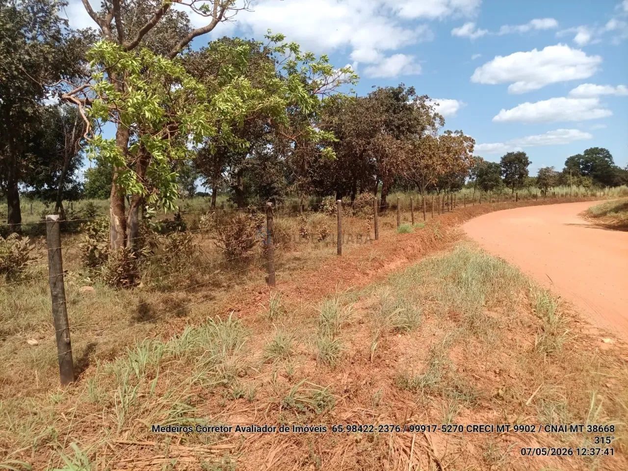 VENDO  SITIO NA COMUNIDADE DO MORRINHO EM SANTO ANTÔNIO DO LEVERGER/MT - Foto 4