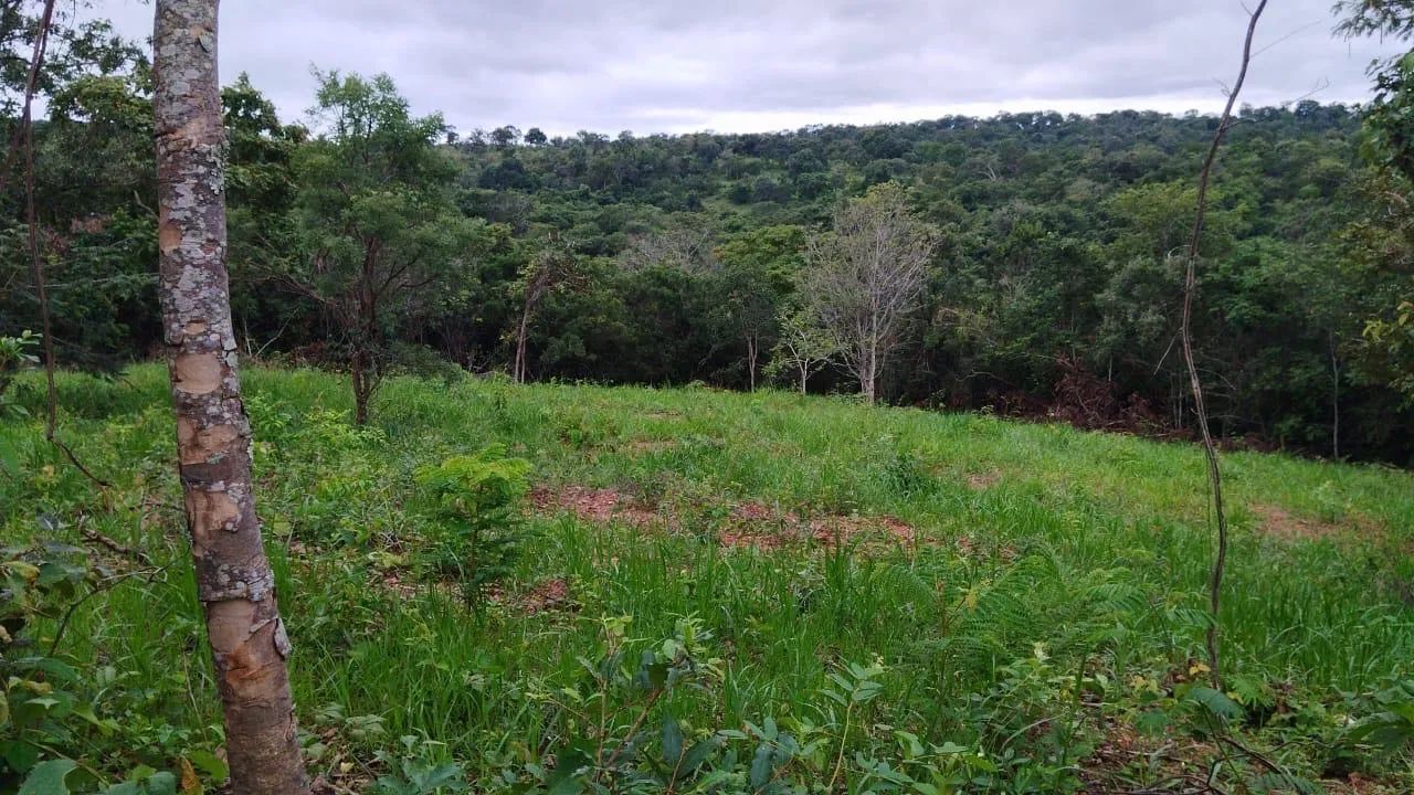 Fazenda em catalão pecuária  - Foto 2