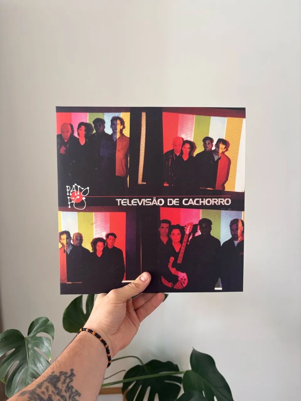 LP PATO FU | Televisão de Cachorro - Foto 2