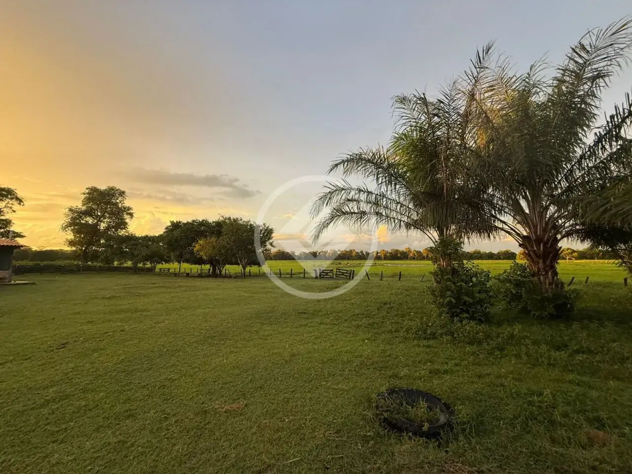 Fazenda de 512 Hectares em Poconé  Pronta para Pecuária e Lazer codigo: 325459 - Foto 2