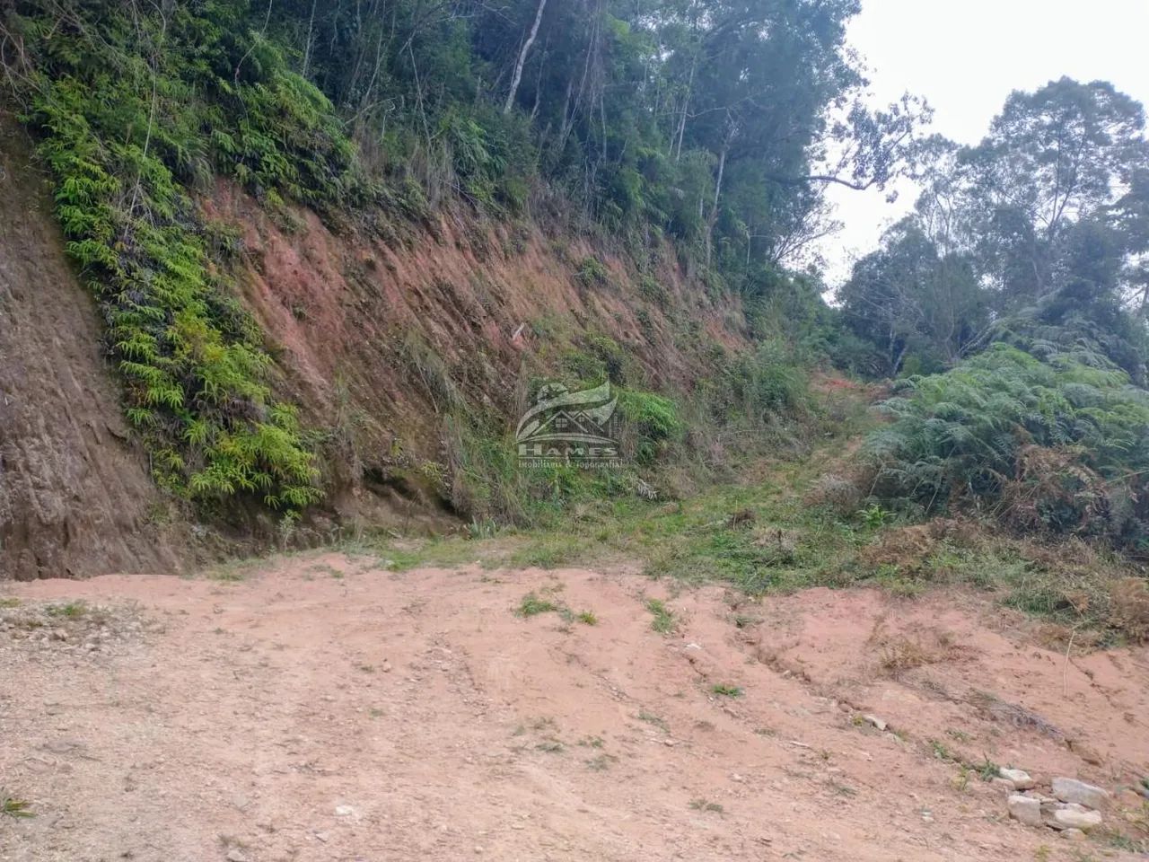 Terreno Rural para Venda, CANUDOS - Foto 3
