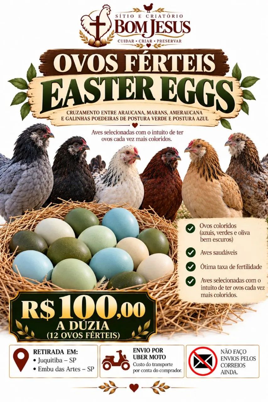 Ovos ferteis de Easter eggs 