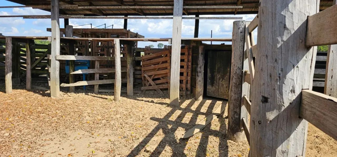 Fazenda em Canutama de 954,00 HA - Foto 3