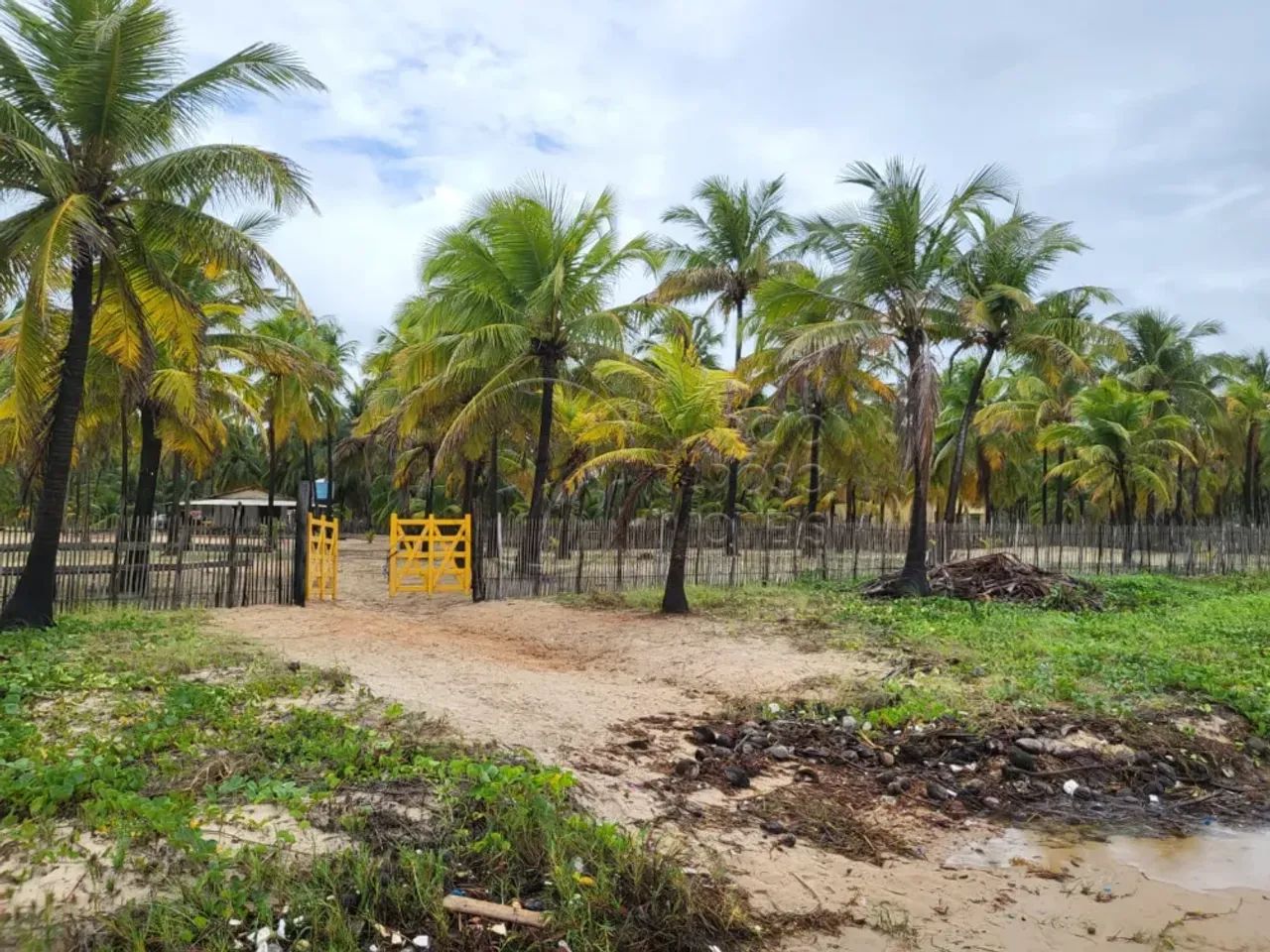 Sítio à Beira-Mar com 5,01 hectare à venda em Coruripe - Foto 5