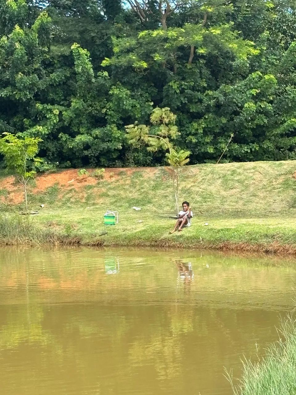 Vendo sitio em Artur Nogueira sp - Foto 5