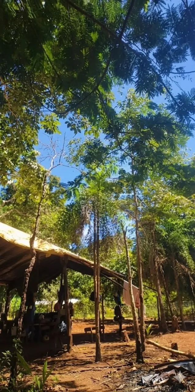 Chácara Beira Rio | 6.600m² | Escriturada | Luzimangues | Oportunidade - Foto 2