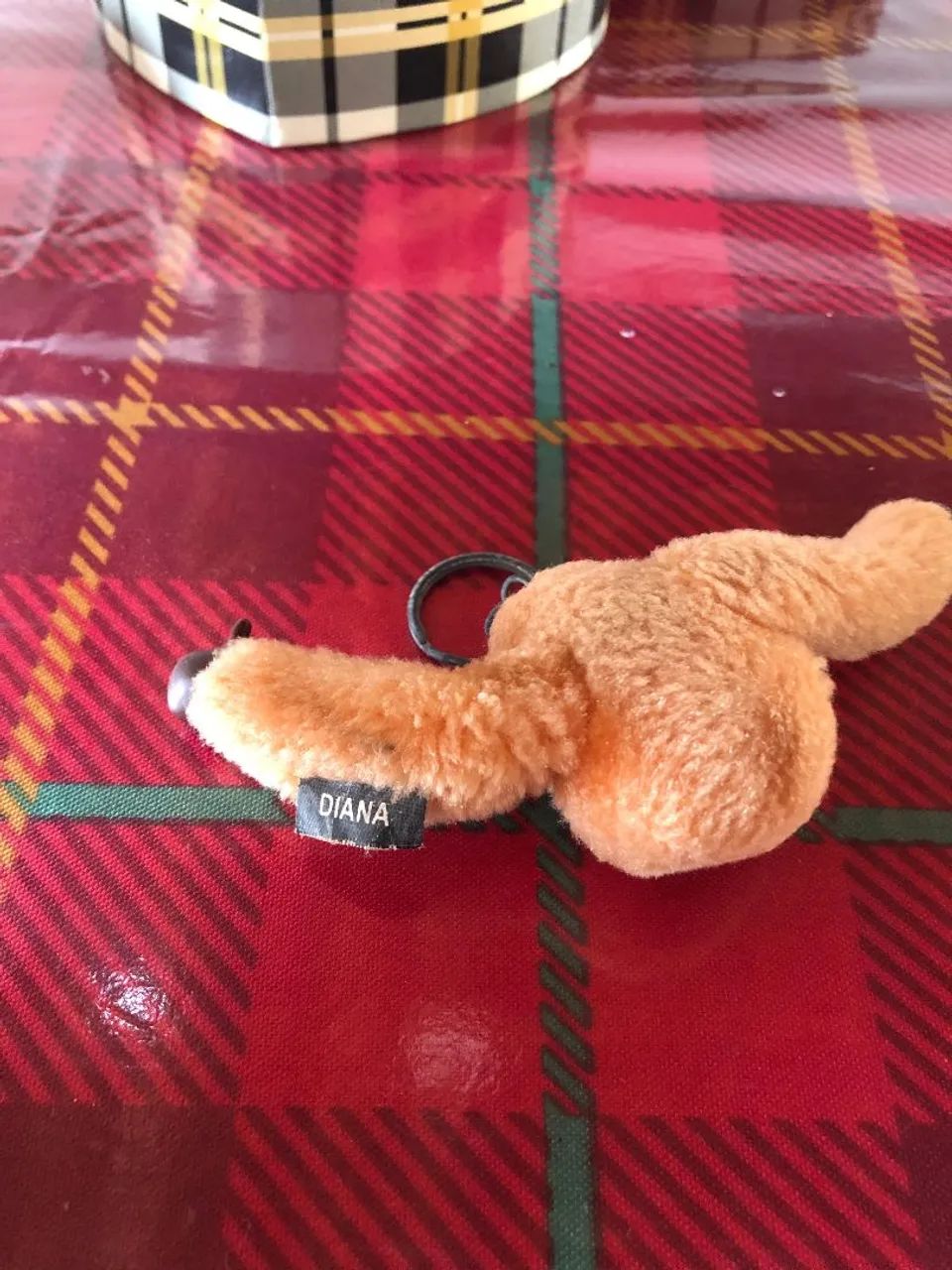 Macaco laranja da kipling  - Foto 2