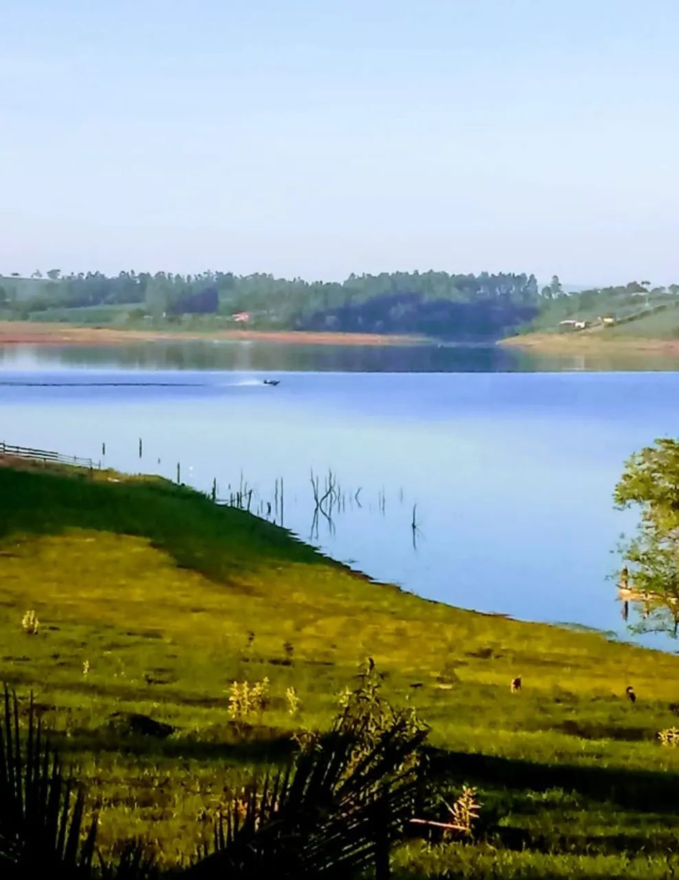 Chácara para lazer e pesca de 2300 mt A. total Carlópolis-Pr - Foto 10